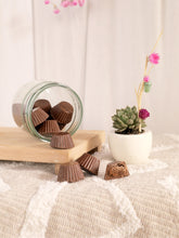 regalo-con-suculentas-crisalida-de-mariposa-capullo-pupa-regalo-con-chocolates-regalo-de-condolencias-regalo-de-suculentas-habibi-plantitas.jpg